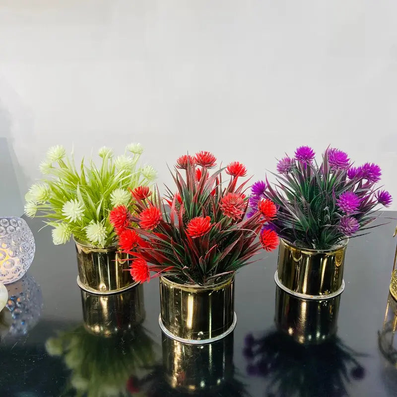 Three potted plants with colorful flowers on a reflective surface