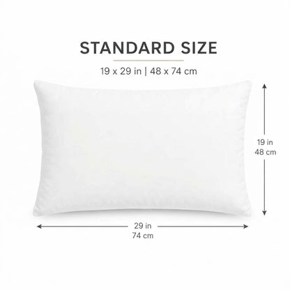 Premium Cotton Pillow Pack of 2