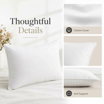 Premium Cotton Pillow Pack of 2